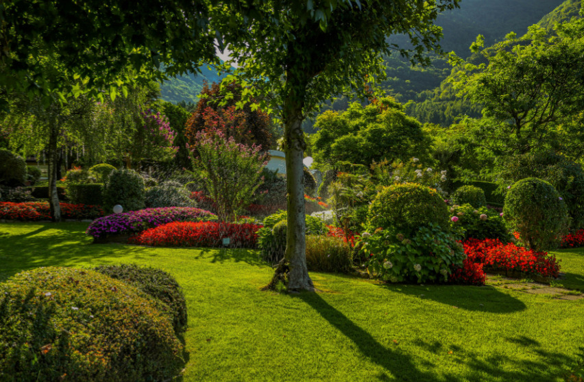 Jardin & Extérieurs